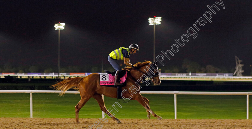 George-Tesoro-0001 
 GEORGE TESORO training for The UAE Derby
Meydan Dubai 26 Mar 2024 - Pic Steven Cargill / Racingfotos.com