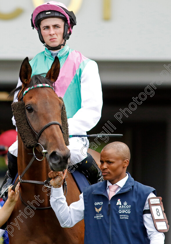 Bluestocking-0004 
 BLUESTOCKING (Rossa Ryan)
Ascot 27 Jul 2024 - Pic Steven Cargill / Racingfotos.com