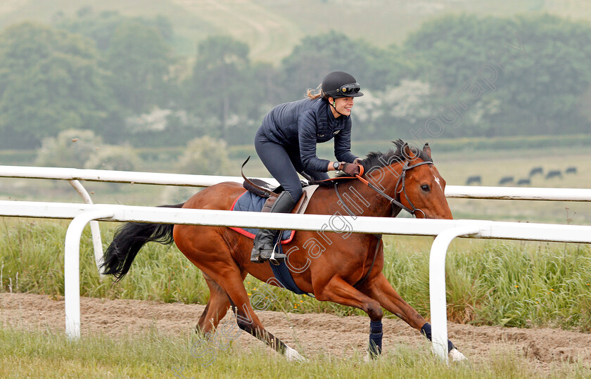 Rosie-Tapner-0004 
 ROSIE TAPNER riding on the gallops for Charlie Hills, in preparation for Goodwood's Magnolia Cup, Lambourn 23 May 2018 - Pic Steven Cargill / Racingfotos.com