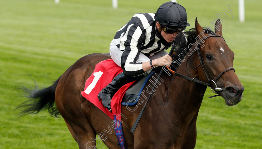 New-Mandate-0002 
 NEW MANDATE (Rob Hornby) wins The Betway Nursery
Sandown 23 Aug 2020 - Pic Steven Cargill / Racingfotos.com