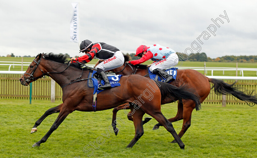 Apphia-0006 
 APPHIA (Josephine Gordon) wins The Princess Royal Nayef Stakes Newmarket 29 Sep 2017 - Pic Steven Cargill / Racingfotos.com