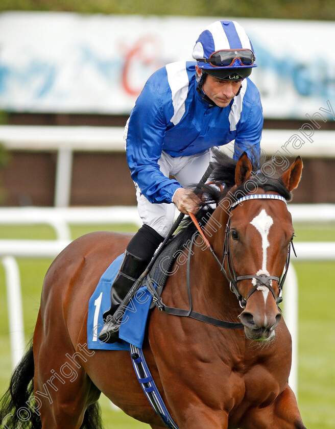 Amaan-0001 
 AMAAN (Dane O'Neill) winner of The Dennis Hammill Memorial EBF Novice Stakes
Leicester 10 Sep 2019 - Pic Steven Cargill / Racingfotos.com