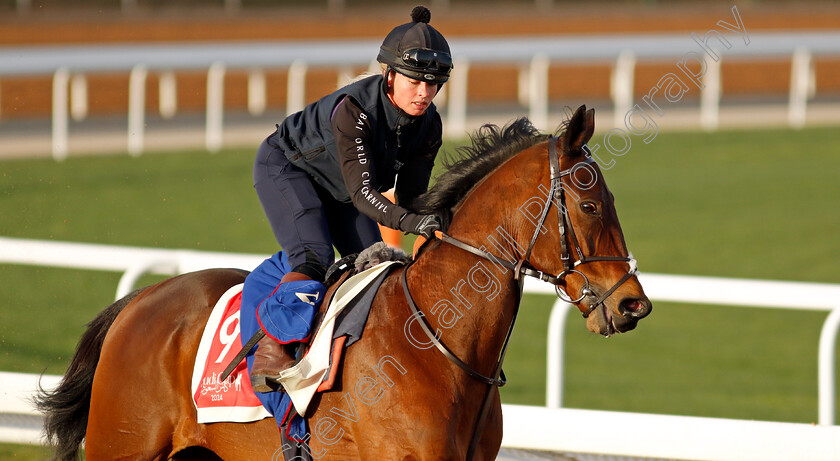 Enemy-0001 
 ENEMY training for The Red Sea Turf Handicap
King Abdulaziz Racecourse, Saudi Arabia 20 Feb 2024 - Pic Steven Cargill / Racingfotos.com