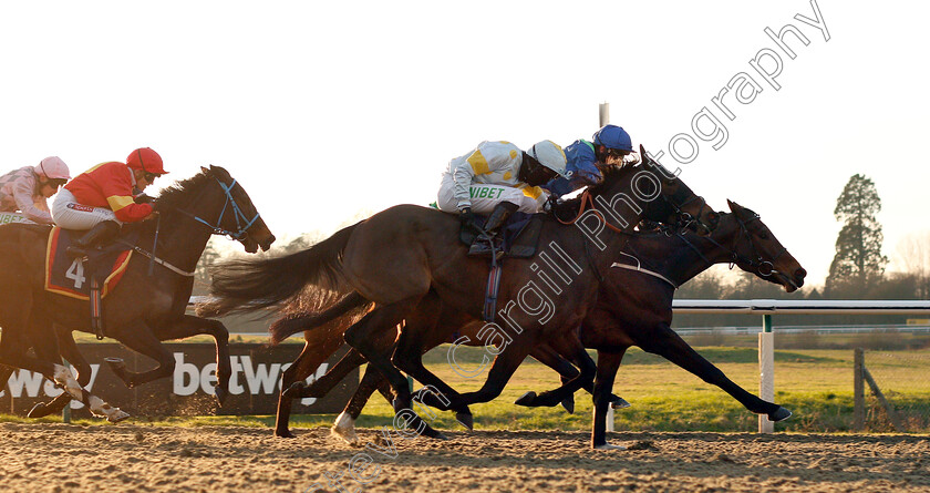 Galitello-0003 
 GALITELLO (farside, P J McDonald) beats MUNDERSFIELD (nearside) in The Betway Stayers Handicap
Lingfield 2 Feb 2019 - Pic Steven Cargill / Racingfotos.com