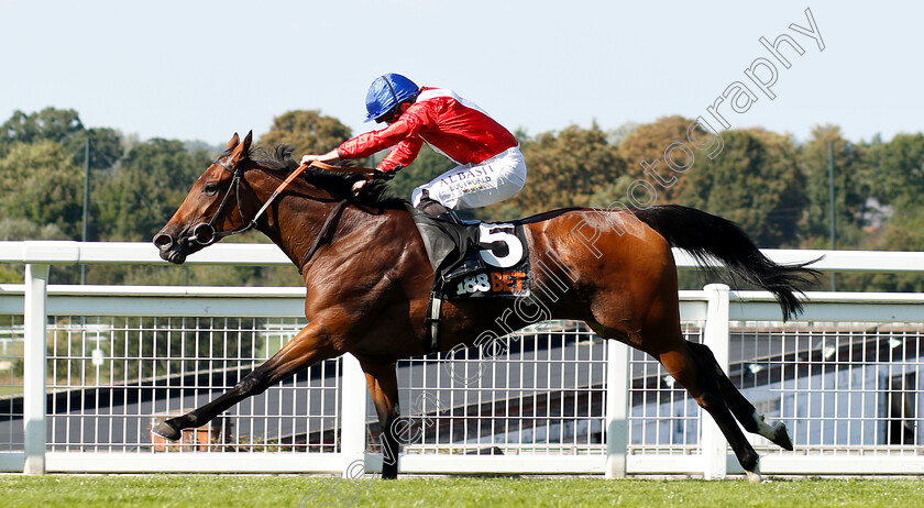 Veracious-0008 
 VERACIOUS (Ryan Moore) wins The 188bet Casino Atalanta Stakes
Sandown 1 Sep 2018 - Pic Steven Cargill / Racingfotos.com