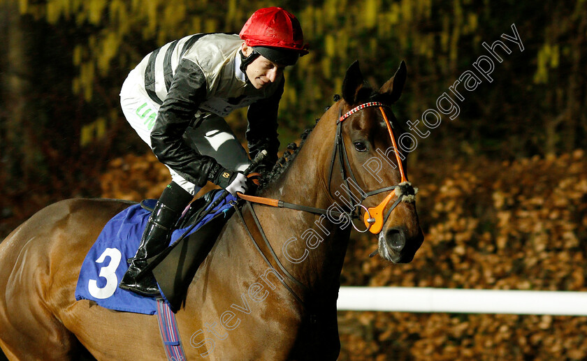 Battle-Of-Paradise-0001 
 BATTLE OF PARADISE (Luke Morris)
Kempton 16 Jan 2019 - Pic Steven Cargill / Racingfotos.com