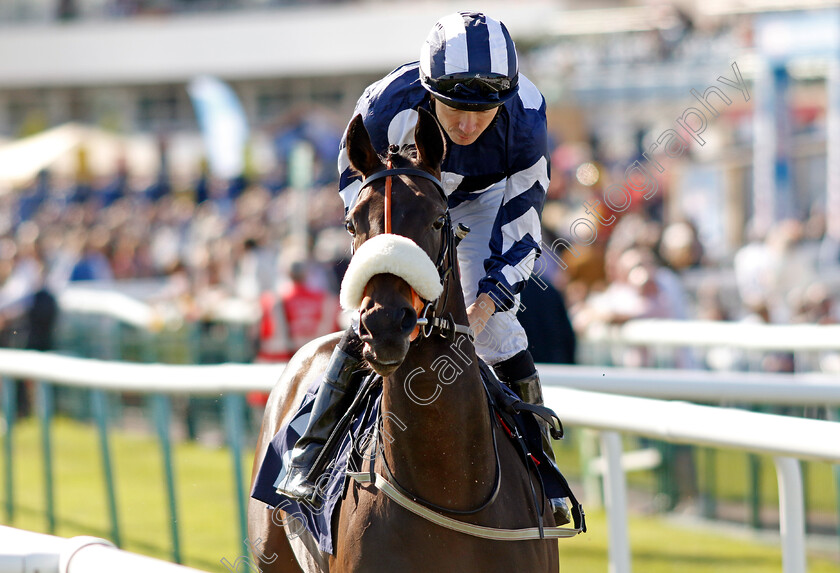 Maw-Lam-0001 
 MAW LAM (Jamie Spencer)
Doncaster 13 Sep 2024 - Pic Steven Cargill / Racingfotos.com