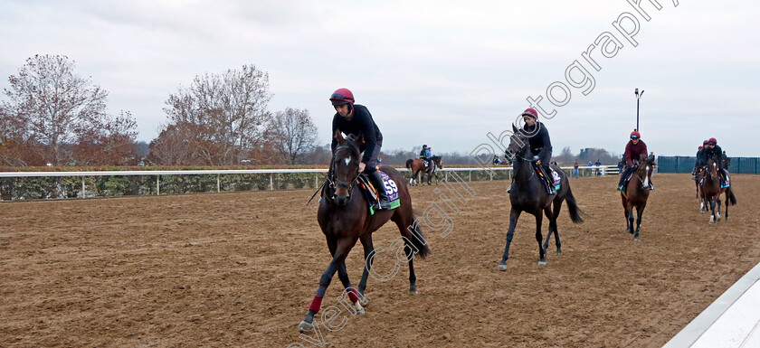 Order-Of-Australia-0001 
 ORDER OF AUSTRLIA leads the Aidan O'Brien string training for the Breeders' Cup 
Keeneland USA 1 Nov 2022 - Pic Steven Cargill / Racingfotos.com