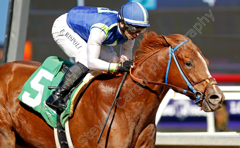 Red-Flag-0001 
 RED FLAG (Umberto Rispoli) wins The Ocean View Allowance
Del Mar USA 1 Nov 2024 - Pic Steven Cargill / Racingfotos.com