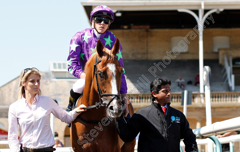 Blonde-Warrior-0002 
 BLONDE WARRIOR (James Doyle) before winning The Edmond Shipway Novice Stakes
Doncaster 29 Jun 2018 - Pic Steven Cargill / Racingfotos.com