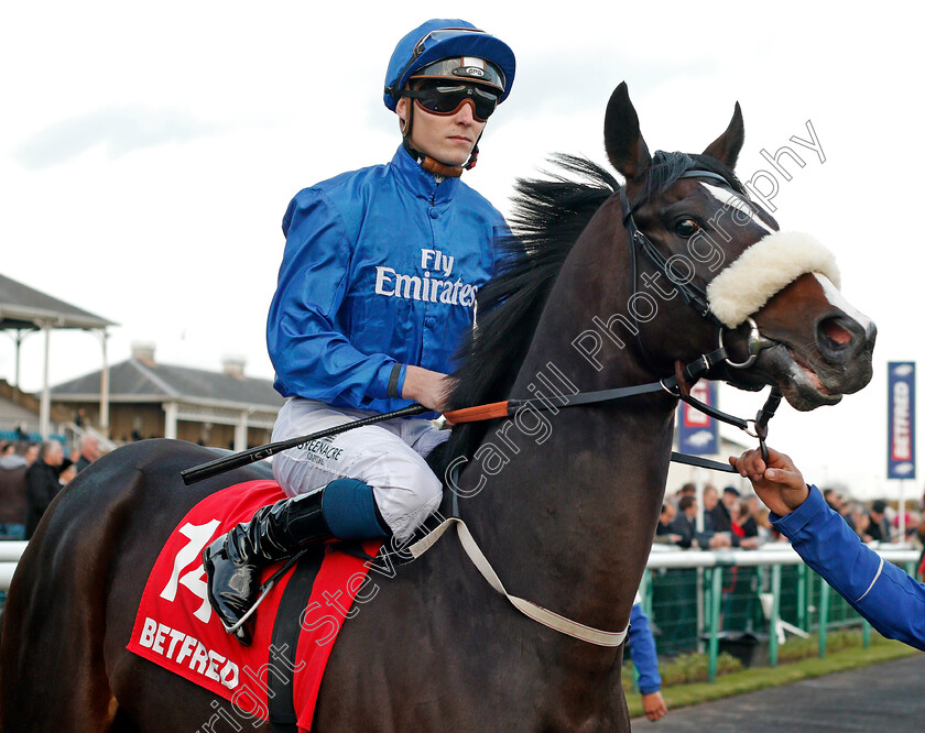 Syphax-0001 
 SYPHAX (Kevin Stott) Doncaster 11 Nov 2017 - Pic Steven Cargill / Racingfotos.com