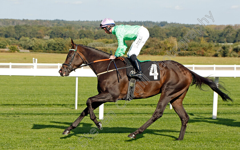 Hurtle-Wallop-0001 
 HURTLE WALLOP (Rossa Ryan)
Ascot 6 Oct 2023 - Pic Steven Cargill / Racingfotos.com