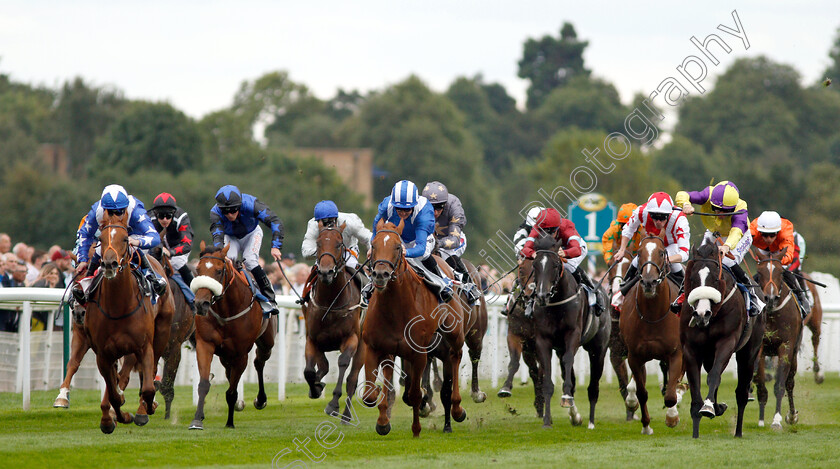 Ginger-Nut-0001 
 GINGER NUT (left, Oisin Murphy) beats MOYASSAR (centre) and RATHBONE (right) in The Sky Bet Nursery
York 22 Aug 2018 - Pic Steven Cargill / Racingfotos.com