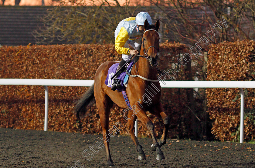 Saffron-Lane-0002 
 SAFFRON LANE (George Wood)
Kempton 4 Dec 2019 - Pic Steven Cargill / Racingfotos.com