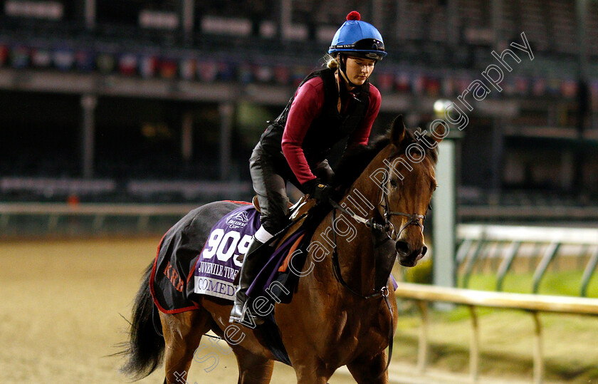 Comedy-0001 
 COMEDY exercising ahead of The Breeders' Cup Juvenile Turf Sprint
Churchill Downs USA 29 Oct 2018 - Pic Steven Cargill / Racingfotos.com