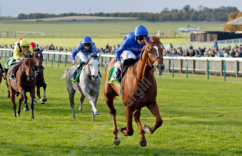 Al-Nafir-0004 
 AL NAFIR (Pat Dobbs) wins The bet365 Old Rowley Cup
Newmarket 7 Oct 2022 - Pic Steven Cargill / Racingfotos.com