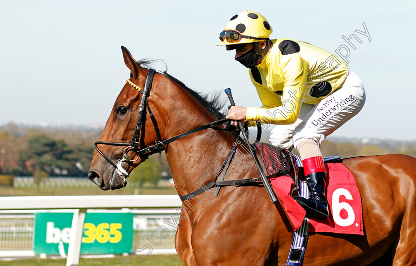 Royal-Harmony-0002 
 ROYAL HARMONY (Andrea Atzeni)
Sandown 23 Apr 2021 - Pic Steven Cargill / Racingfotos.com