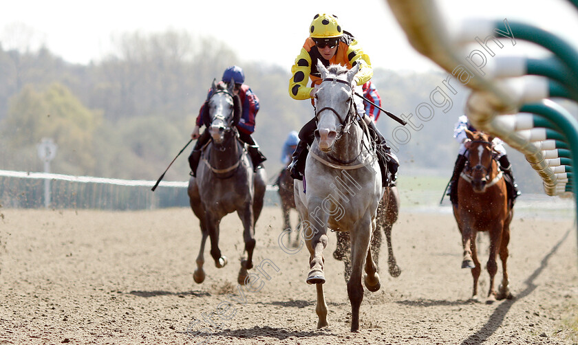 Watersmeet-0003 
 WATERSMEET (Joe Fanning) wins The Betway All-Weather Marathon Championships Stakes
Lingfield 19 Apr 2019 - Pic Steven Cargill / Racingfotos.com