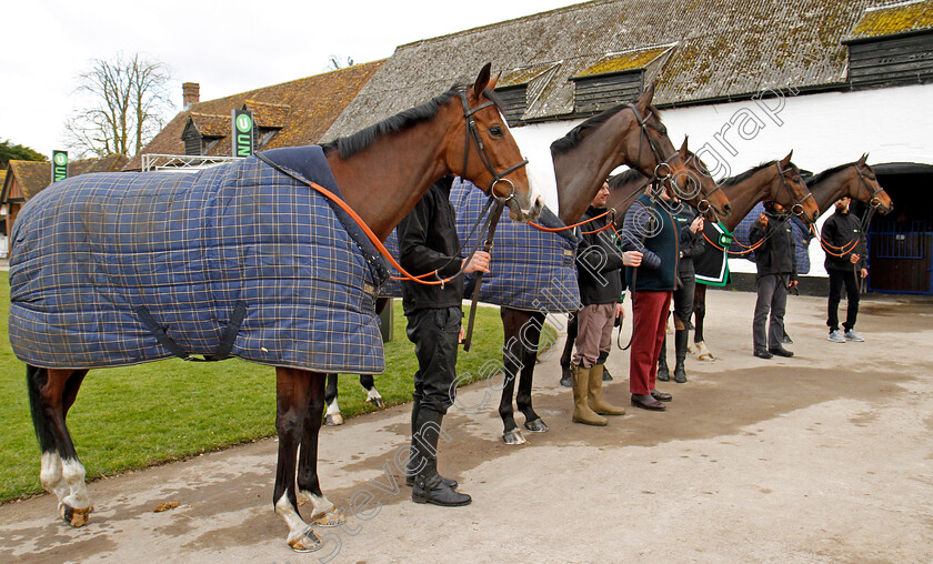 Apples-Shakira-and-co-0001 
 L to R; APPLE'S SHAKIRA, MIGHT BITE, BUVEUR D'AIR, MY TENT OR YOURS and ALTIOR at Nicky Henderson's stable in Lambourn 20 Feb 2018 - Pic Steven Cargill / Racingfotos.com