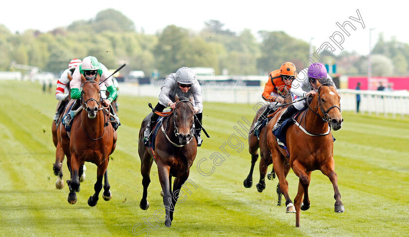 Charming-Kid-0002 
 CHARMING KID (right, Paul Hanagan) beats WORLD ORDER (centre) in The British Stallion Studs EBF Novice Stakes York 16 May 2018 - Pic Steven Cargill / Racingfotos.com