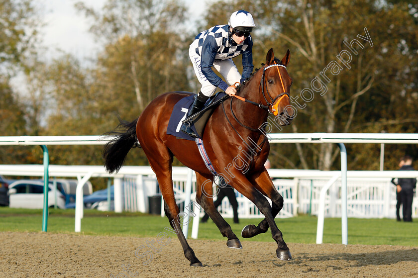 Golden-Shot 
 GOLDEN SHOT (Luke Morris)
Lingfield 28 Oct 2021 - Pic Steven Cargill / Raingfotos.com