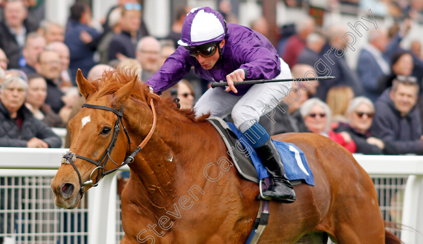 Sir-Rumi-0007 
 SIR RUMI (William Buick) wins The Betfred Nifty Fifty Great Metropolitan Handicap
Epsom 25 Apr 2023 - Pic Steven Cargill / Racingfotos.com