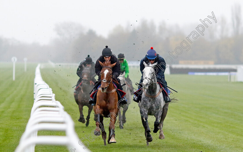 Caldwell-Potter-and-Captain-Teague-0003 
 CALDWELL POTTER (right) and CAPTAIN TEAGUE (left)
Coral Gold Cup gallops morning Newbury 19 Nov 20234 - Pic Steven Cargill / Racingfotos.com