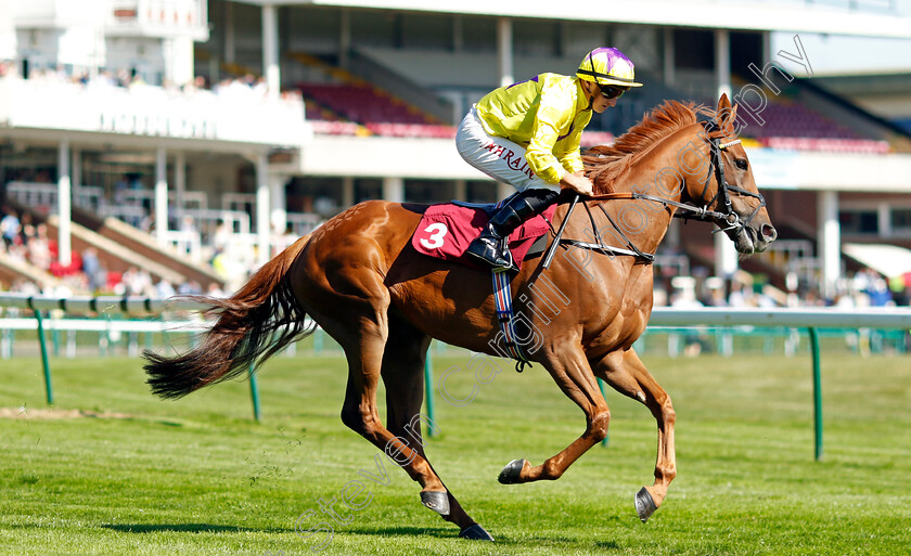 Sea-Speedwell-0001 
 SEA SPEEDWELL (Tom Marquand)
Haydock 1 Sep 2022 - Pic Steven Cargill / Racingfotos.com