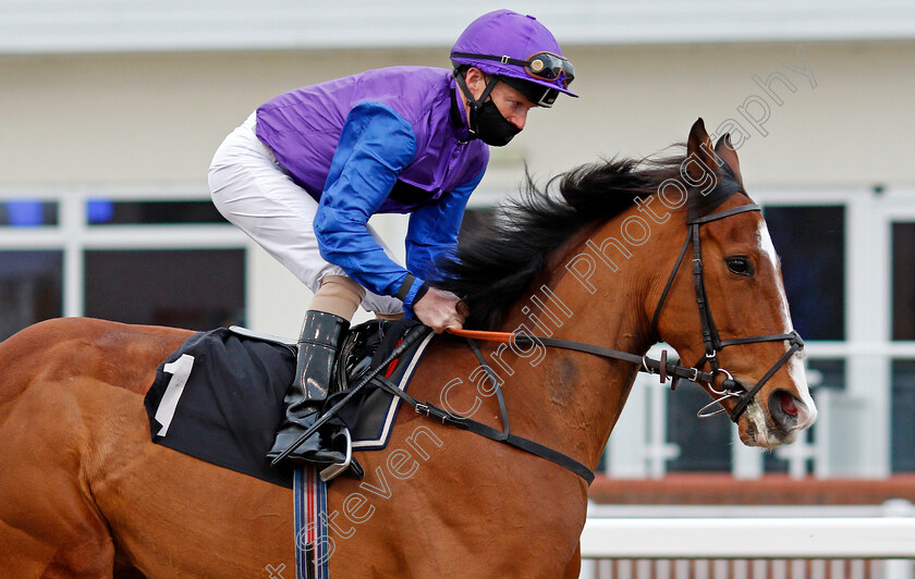 Alchemystique-0001 
 ALCHEMYSTIQUE (Joe Fanning)
Chelmsford 4 Mar 2021 - Pic Steven Cargill / Racingfotos.com