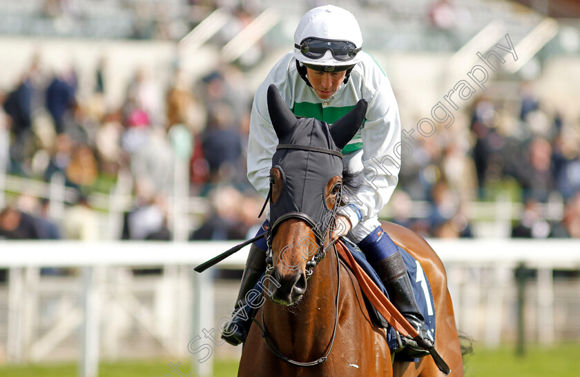 Ching-Shih 
 CHING SHIH (Jim Crowley)
York 11 May 2022 - Pic Steven Cargill / Racingfotos.com