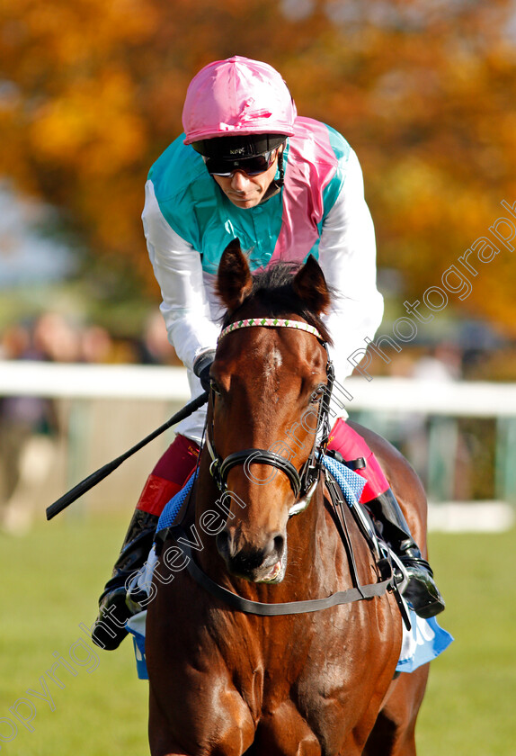 Purser-0001 
 PURSER (Frankie Dettori) Newmarket 14 Oct 2017 - Pic Steven Cargill / Racingfotos.com