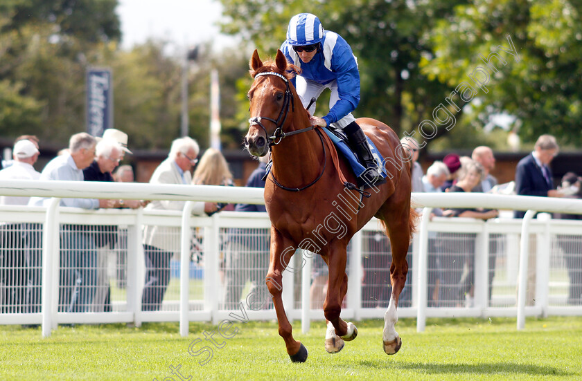 Muraahin-0001 
 MURAAHIN (Jim Crowley)
Salisbury 16 Aug 2018 - Pic Steven Cargill / Racingfotos.com