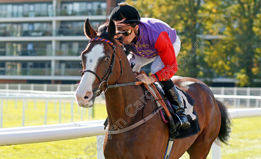 Code-Of-Conduct-0001 
 CODE OF CONDUCT (Jason Watson)
Newbury 20 Sep 2019 - Pic Steven Cargill / Racingfotos.com