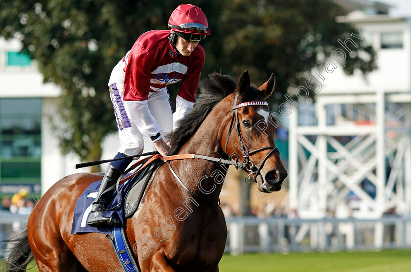 Naomi-Lapaglia-0002 
 NAOMI LAPAGLIA (Daniel Muscutt)
Yarmouth 18 Sep 2024 - Pic Steven Cargill / Racingfotos.com