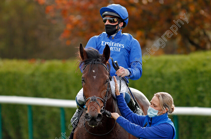 Adayar-0010 
 ADAYAR (William Buick) after The EBF Stallions Golden Horn Maiden Stakes
Nottingham 28 Oct 2020 - Pic Steven Cargill / Racingfotos.com