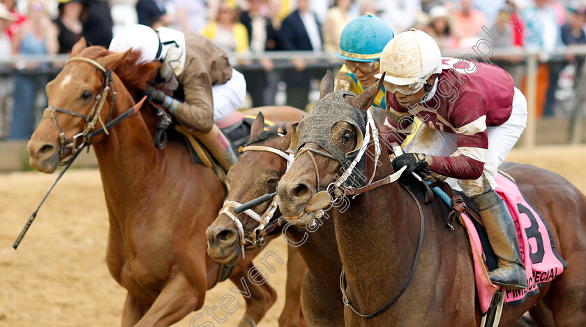 Tenfold-0007 
 TENFOLD (Ricardo Santana) wins The Pimlico Special
Pimlico, Baltimore USA, 17 May 2019 - Pic Steven Cargill / Racingfotos/com