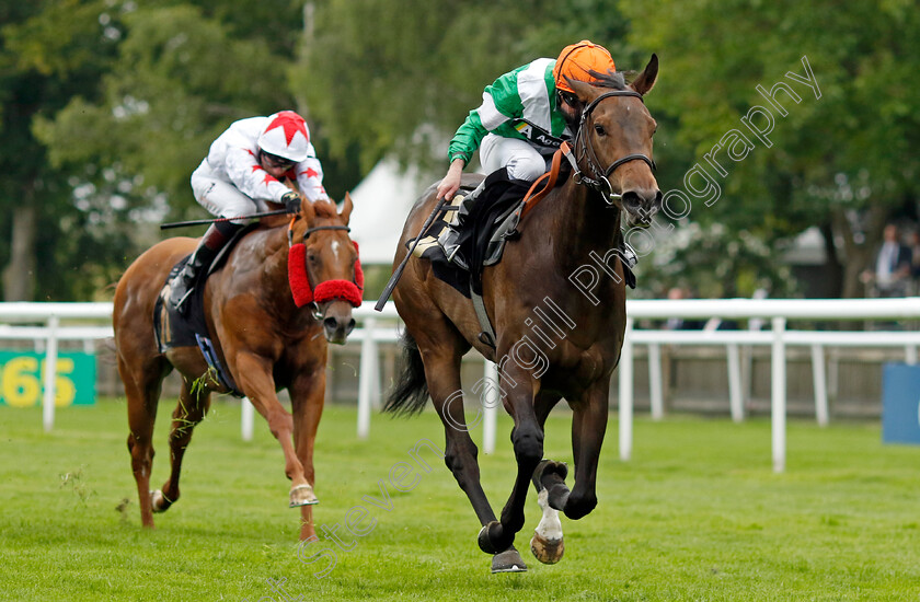 No-Half-Measures-0002 
 NO HALF MEASURES (Ryan Moore) wins The Blake-Turner Solicitors Handicap
Newmarket 12 Jul 2024 - pic Steven Cargill / Racingfotos.com