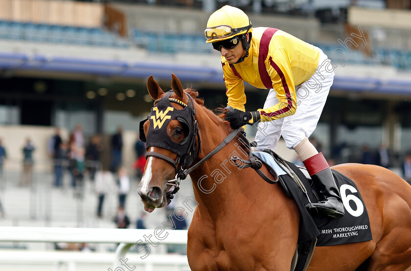 Lady-Pauline-0006 
 LADY PAULINE (John Velazquez)
Ascot 1 May 2019 - Pic Steven Cargill / Racingfotos.com