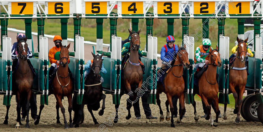 Classy-Dame-0002 
 winner CLASSY DAME (2nd right, Adam Kirby) breaks with the field for The Ladbrokes Watch Racing Online For Free Handicap
Lingfield 6 Feb 2021 - Pic Steven Cargill / Racingfotos.com