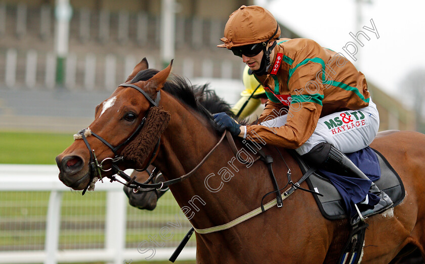 Borodin-0005 
 BORODIN (Jack Garritty) wins The Follow At The Races On Twitter Handicap
Yarmouth 20 Oct 2020 - Pic Steven Cargill / Racingfotos.com