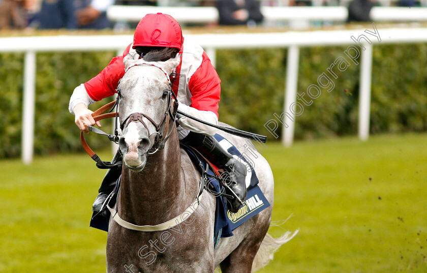 Spring-Loaded-0005 
 SPRING LOADED (Joey Haynes) wins The William Hill Portland Handicap Doncaster 16 Sep 2017 - Pic Steven Cargill / Racingfotos.com