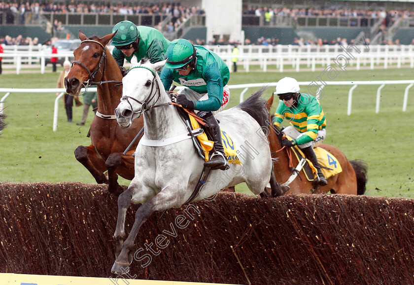 Terrefort-0002 
 TERREFORT (Daryl Jacob) with FOOTPAD (left, Ruby Walsh)
Cheltenham 14 Mar 2019 - Pic Steven Cargill / Racingfotos.com