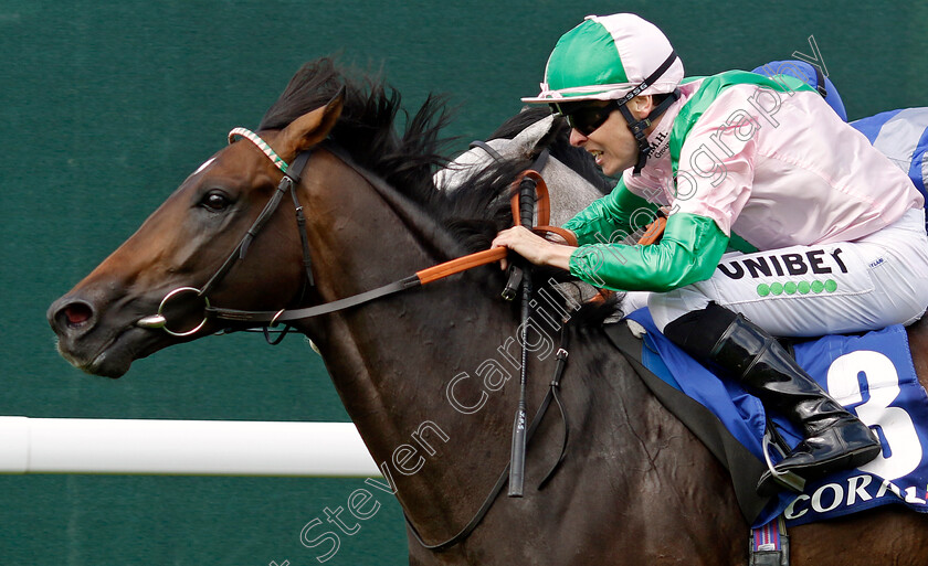 Ancient-Rome-0001 
 ANCIENT ROME (Jamie Spencer) wins The Coral Chesterfield Cup Handicap
Goodwood 1 Aug 2023 - Pic Steven Cargill / Racingfotos.com