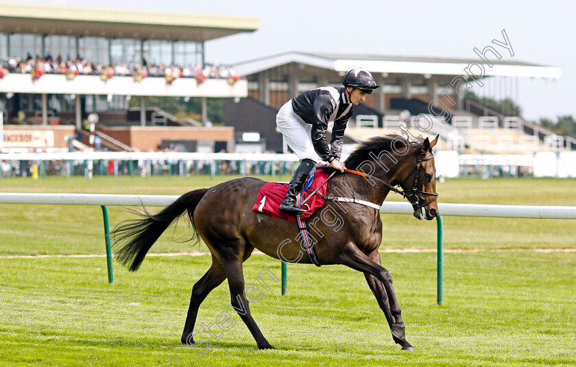 Bookmark-0001 
 BOOKMARK (Ryan Sexton)
Haydock 2 Sep 2022 - Pic Steven Cargill / Racingfotos.com