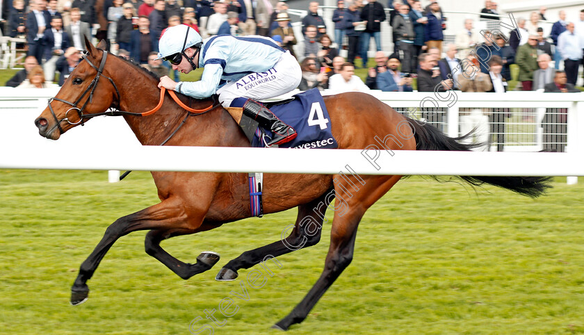 Master-Of-Wine-0003 
 MASTER OF WINE (Oisin Murphy) wins The Investec Wealth Novice Stakes Epsom 25 Apr 2018 - Pic Steven Cargill / Racingfotos.com