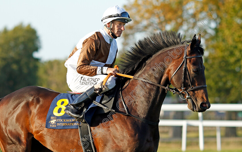 Greenland-0002 
 GREENLAND (Jacob Johansen)
Bro Park, Sweden 15 Sep 2024 - Pic Steven Cargill / Racingfotos.com