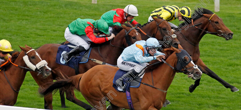 How-Impressive-0004 
 HOW IMPRESSIVE (Richard Kingscote) wins The Sea Deer Handicap
Yarmouth 20 Sep 2023 - Pic Steven Cargill / Racingfotos.com