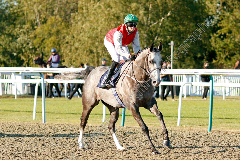 Just-Albert-0001 
 JUST ALBERT (Charles Bishop)
Lingfield 4 Aug 2020 - Pic Steven Cargill / Racingfotos.com