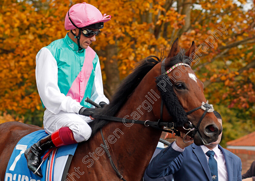 Westerland-0001 
 WESTERLAND (Frankie Dettori) Newmarket 14 Oct 2017 - Pic Steven Cargill / Racingfotos.com