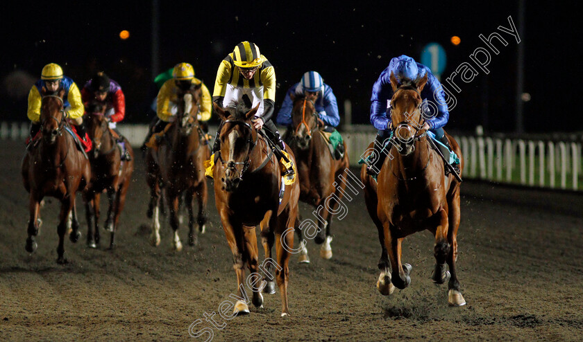 Royal-Fleet-0003 
 ROYAL FLEET (right, William Buick) beats ILZA'EEM (centre) in The Try Our New Price Boosts At Unibet Novice Stakes
Kempton 25 Nov 2020 - Pic Steven Cargill / Racingfotos.com